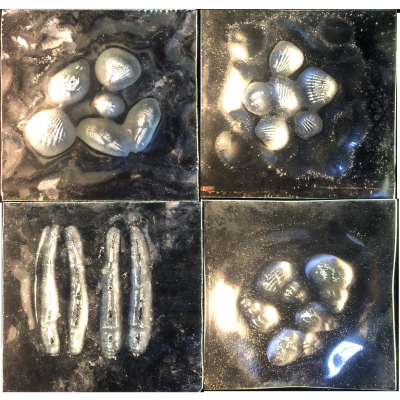 I made these four panels for a friend's bathroom window by slumping float glass onto beach shells.